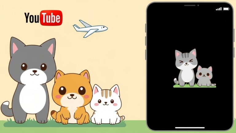 비행기모드, 유튜브