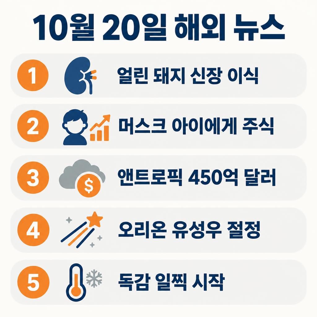10월 20일 해외 뉴스 10건을 정리한 인포그래픽